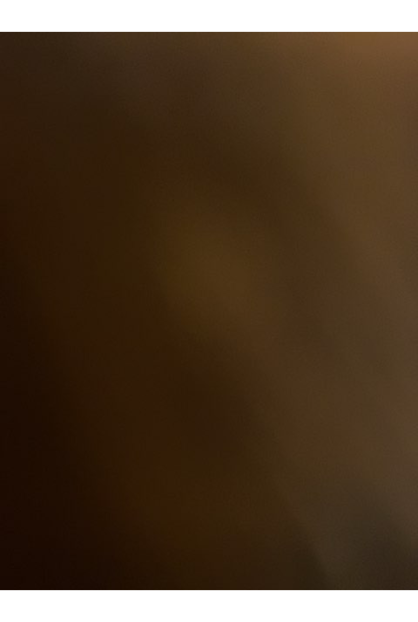 Entredør, hvid med karm 210 x 95,5